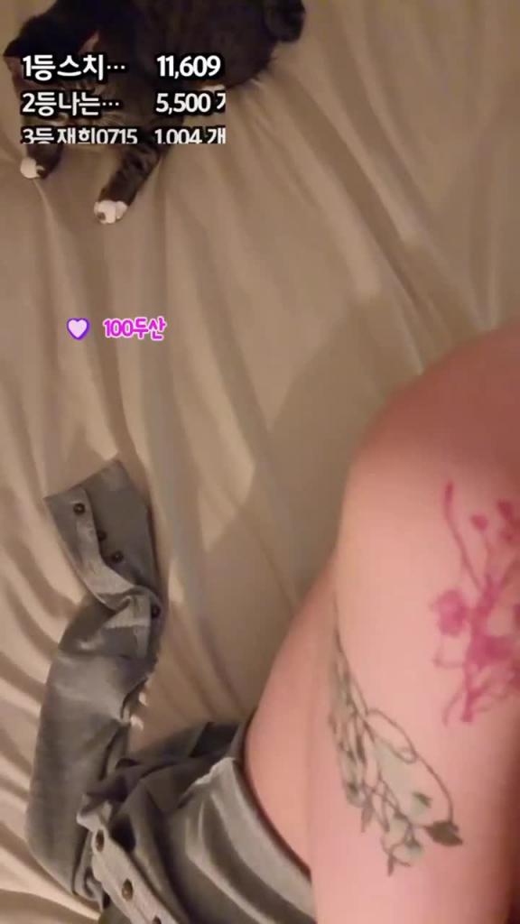 KBJ-24090788 预览截图 6
