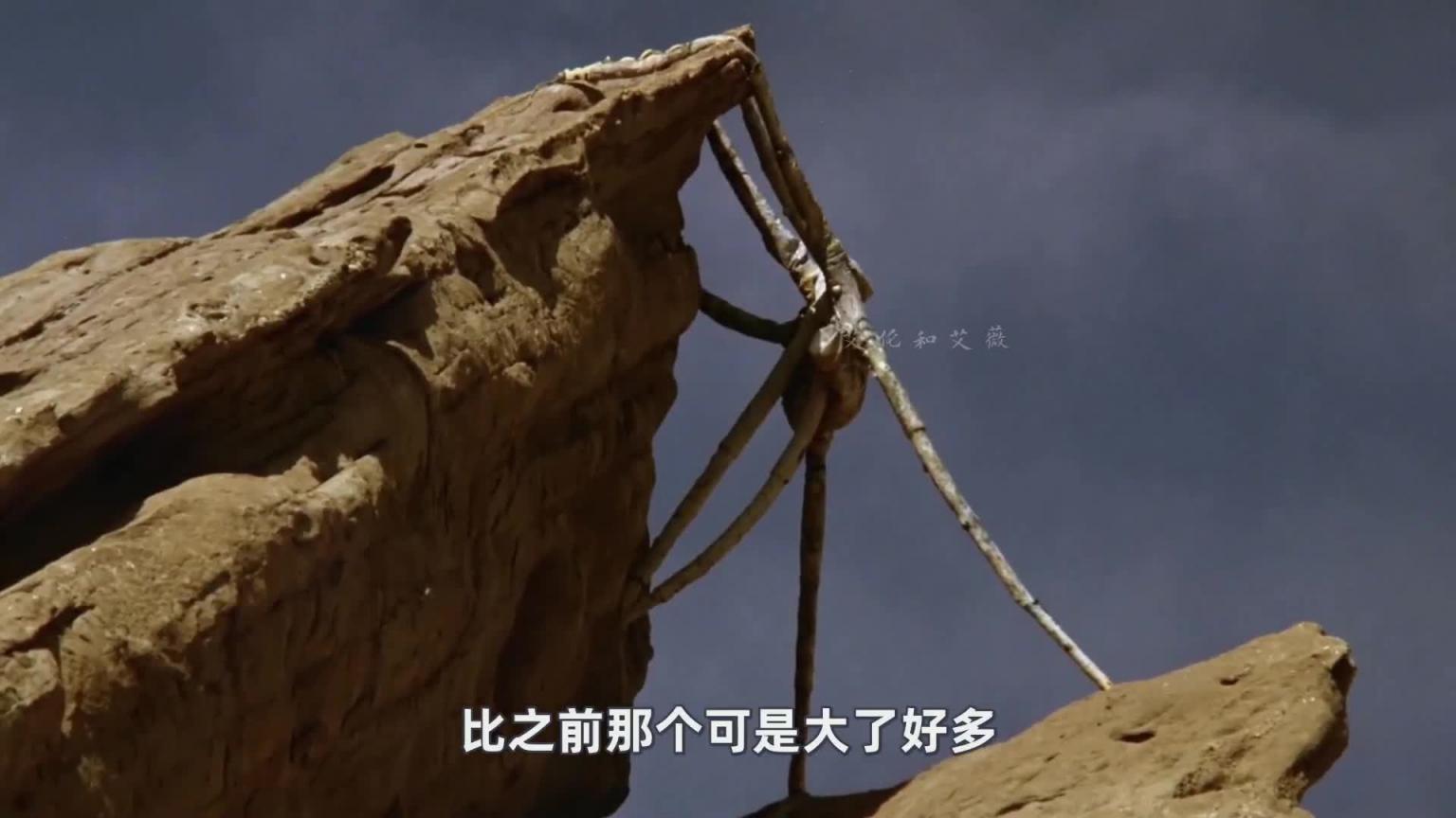 B级惊悚，捡尸变惊魂！她竟然是... 预览截图 8