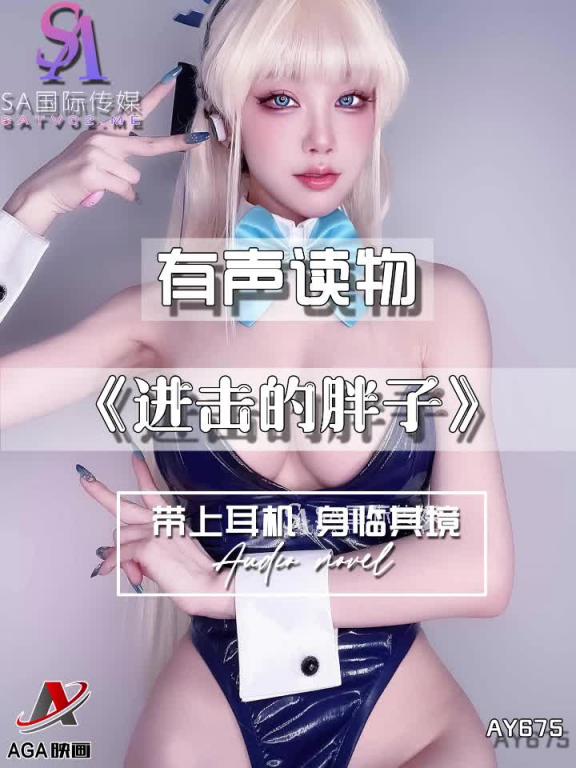 AY675-有声小说-进击的胖子 预览截图 1