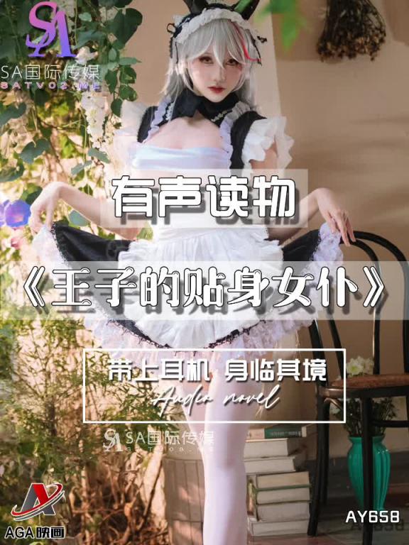 AY658-有声小说-王子的贴身女仆 预览截图 5