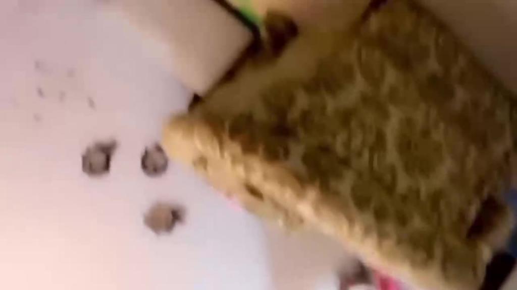 当着女友面操闺蜜全程高能女友一会出来偷看一下最后还内射还帮忙递纸巾 预览截图 6