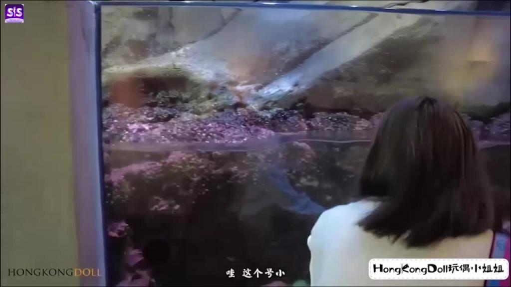 玩偶姐姐，“一日女友的漂亮姐姐”中篇-她是谁 预览截图 3
