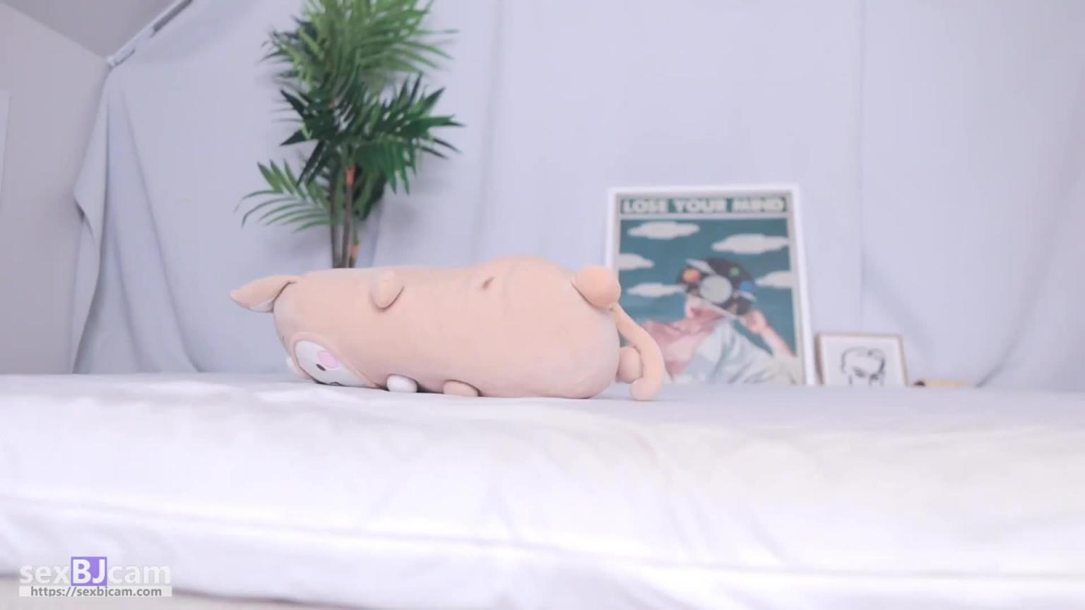 KBJ-24041612 预览截图 9