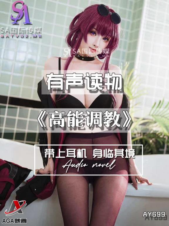 AY699-有声小说-高能调教 预览截图 1