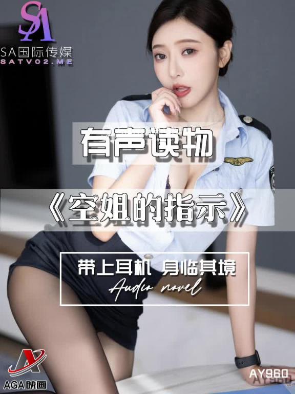 AY960-有声小说-空姐的指示 预览截图 3