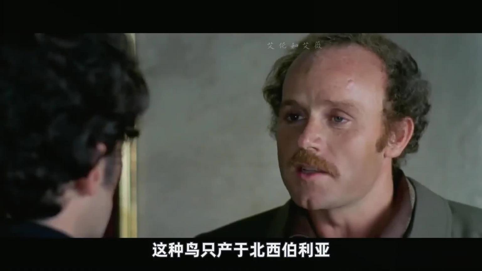 殿堂级铅黄!女孩家中换衣,杀人魔正在脱手套 预览截图 10