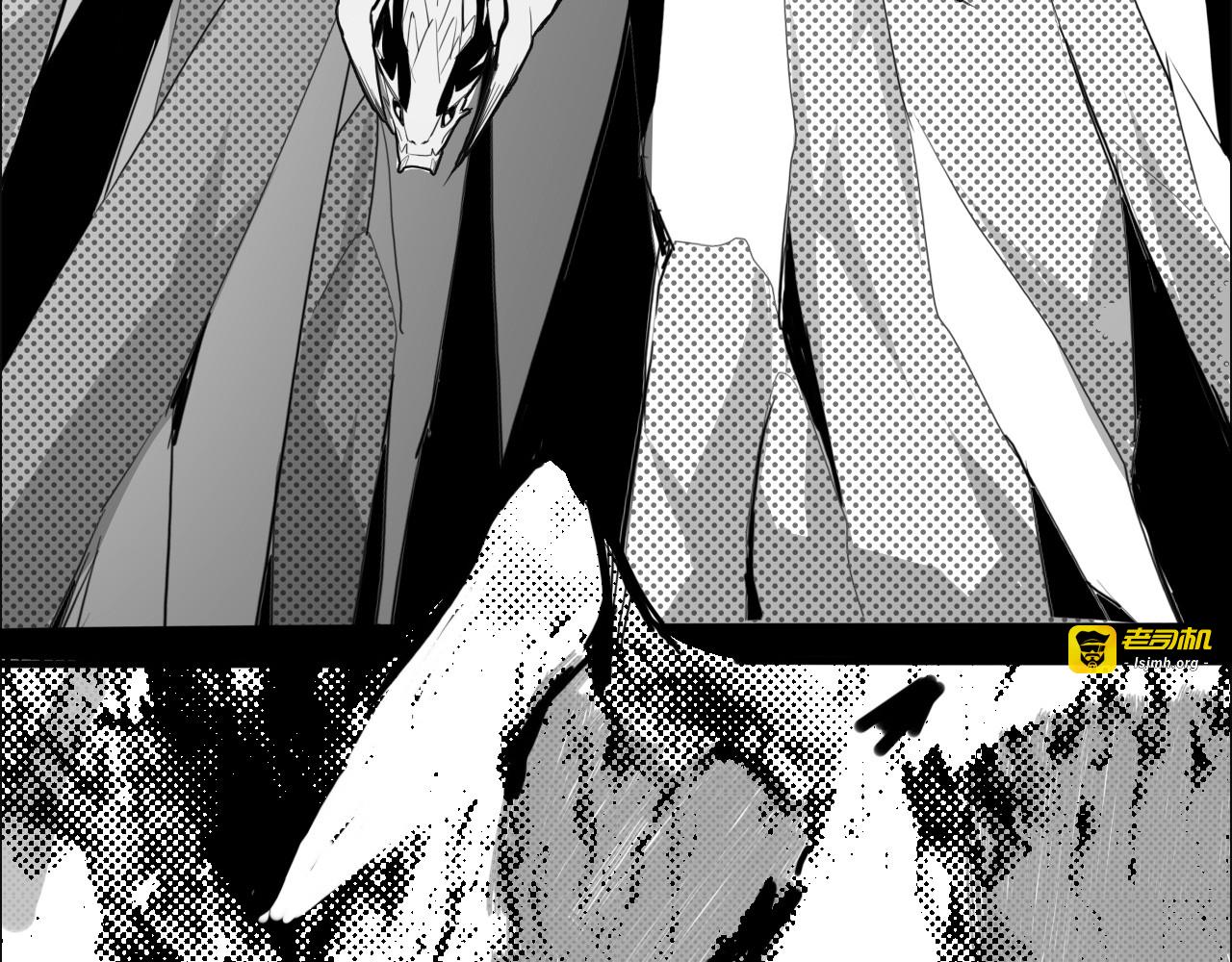 龙与铁 第 71 页