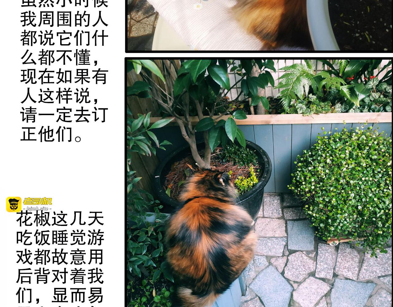 第80回 不同于凡间的恋爱 第 69 页