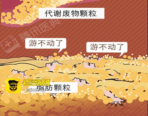 独居少女死亡之谜 第 41 页