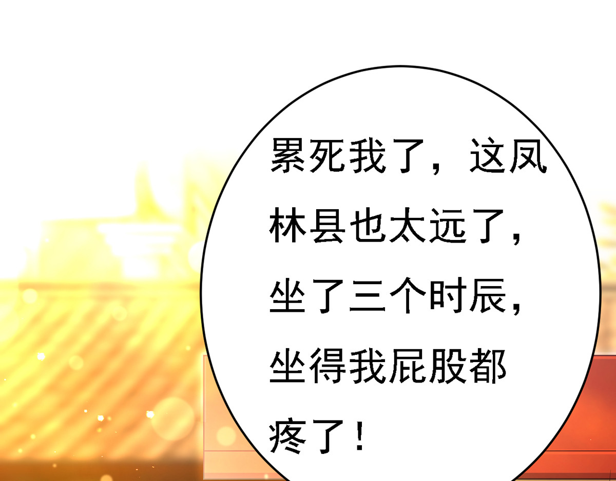 第47话 抵达凤林县 第 44 页