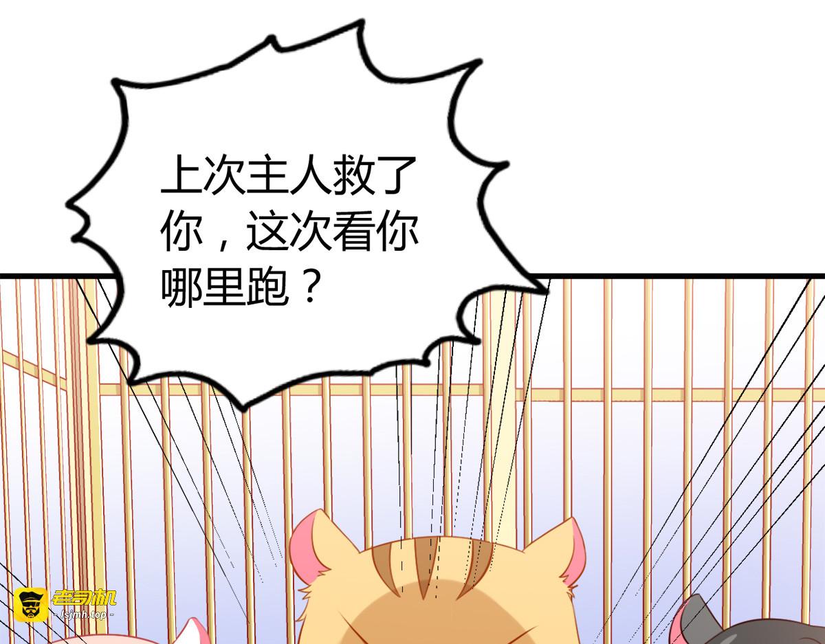 第6话 第 49 页