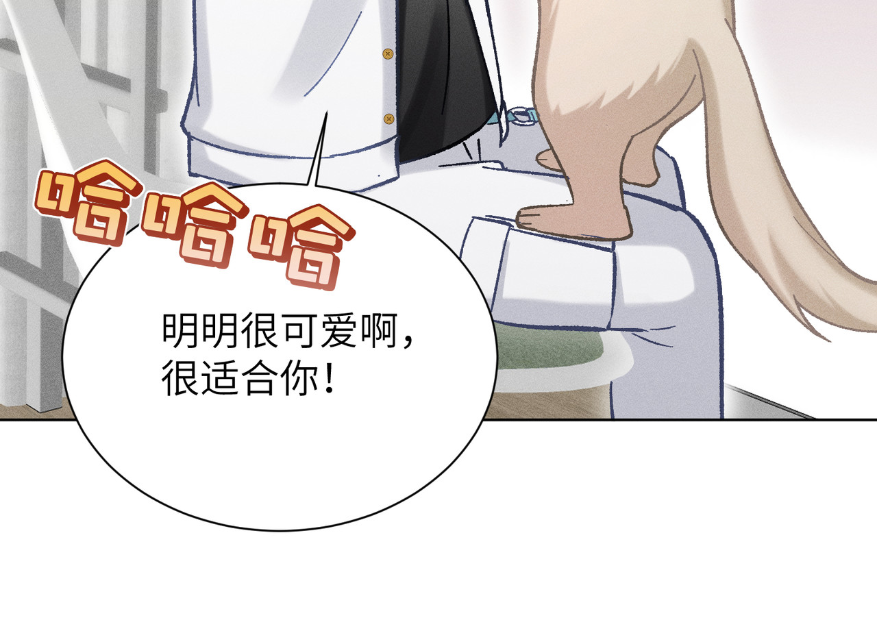 第16话：绝育更健康 第 16 页