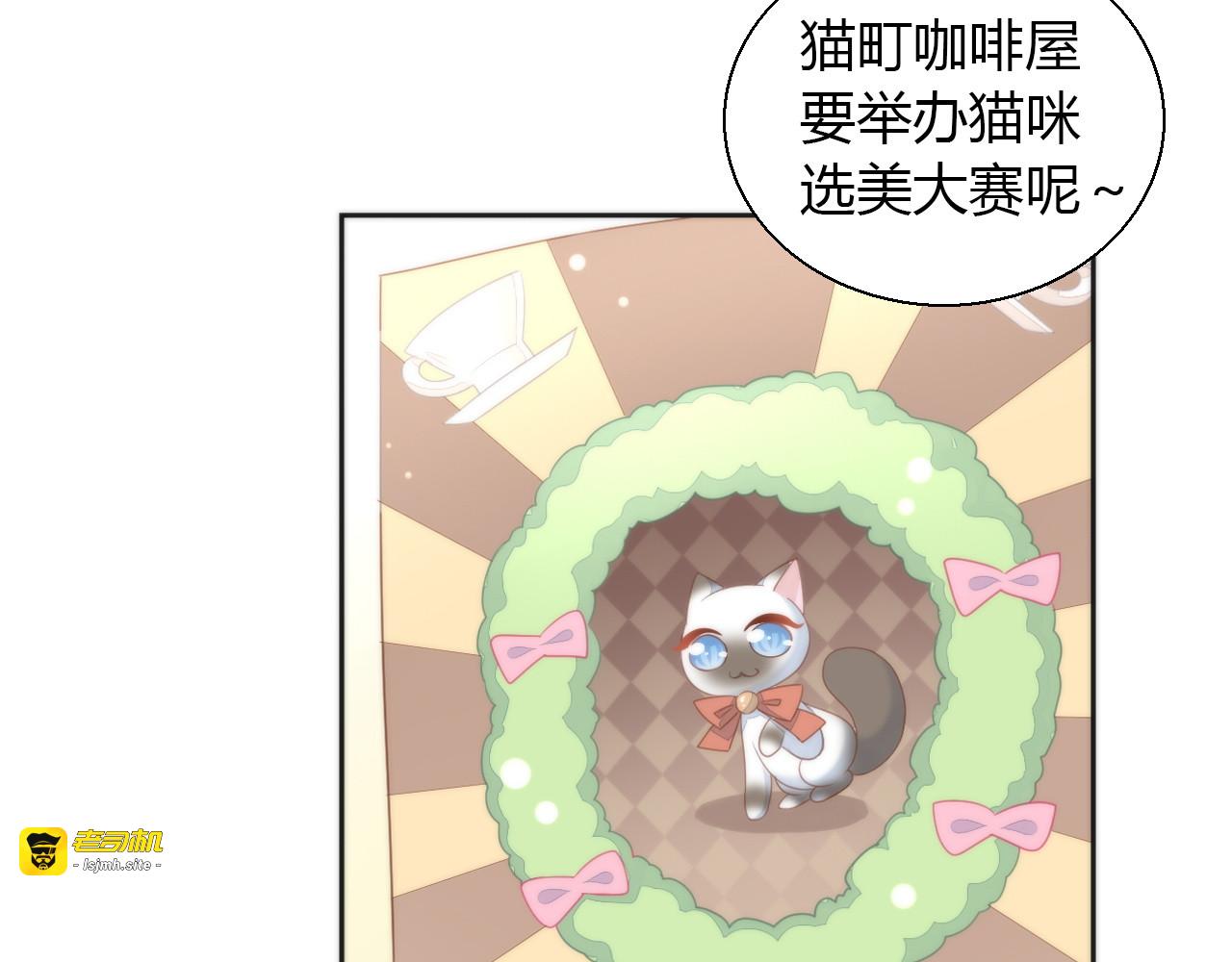 第76话 猫咪选美大赛 第 9 页