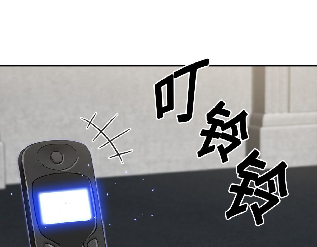 将军的报复 第 82 页