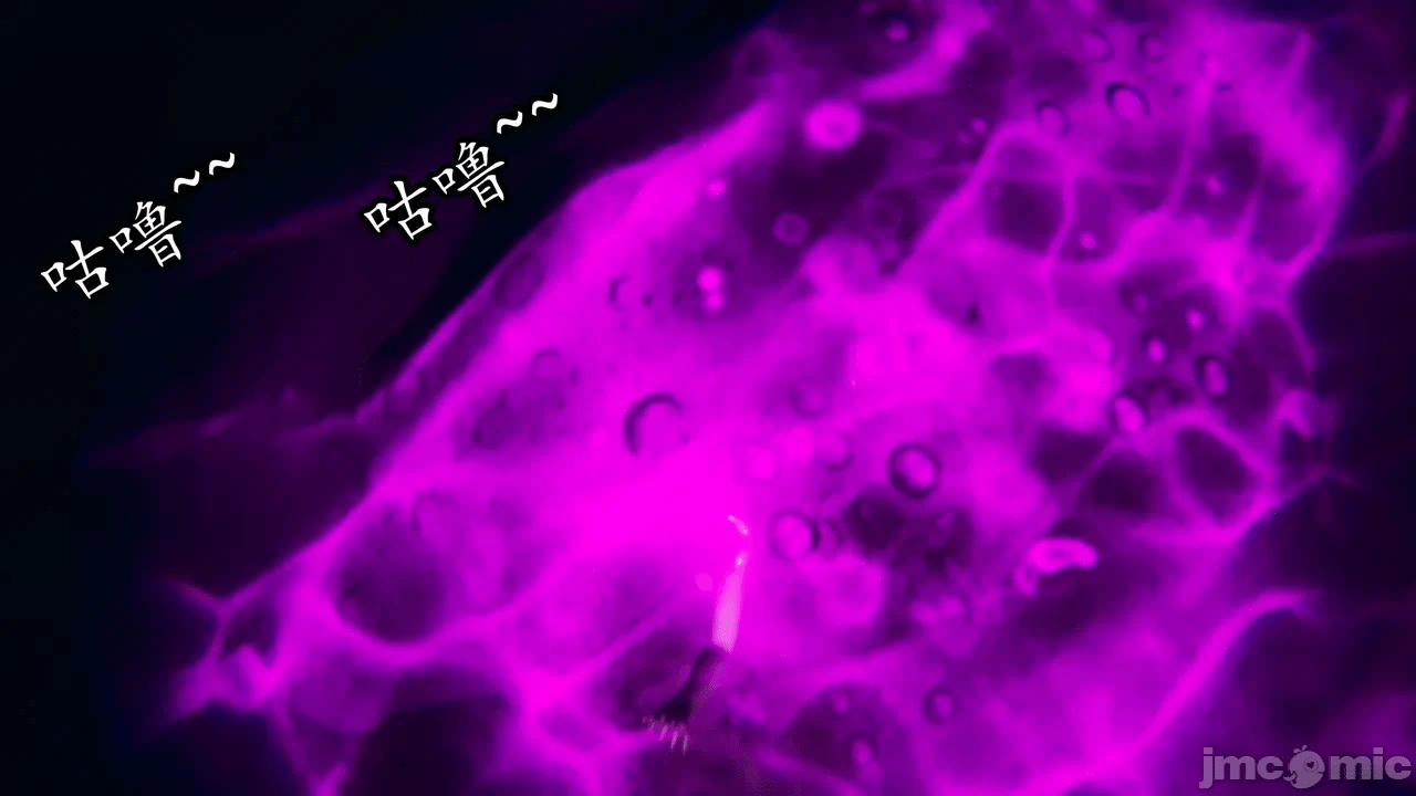 第一话 第 778 页