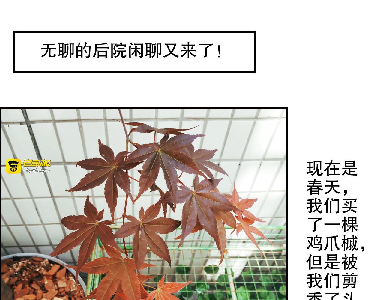 第84回  尴尬瞬间被撞见 第 83 页