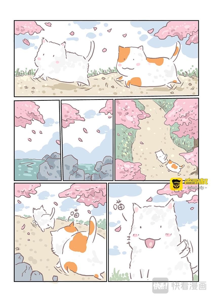 在你身边 第 5 页