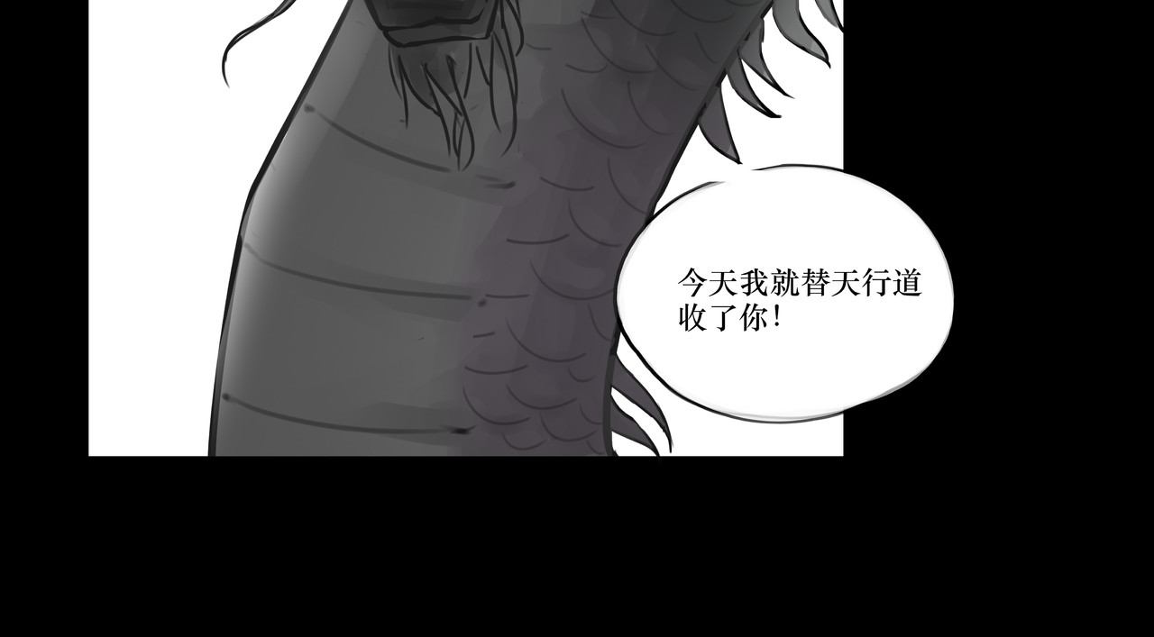 白龙江 第 44 页