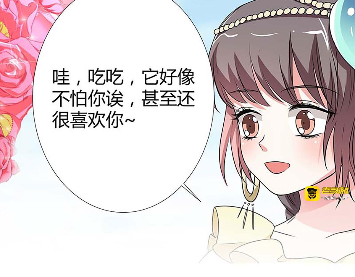 第117话 第 19 页