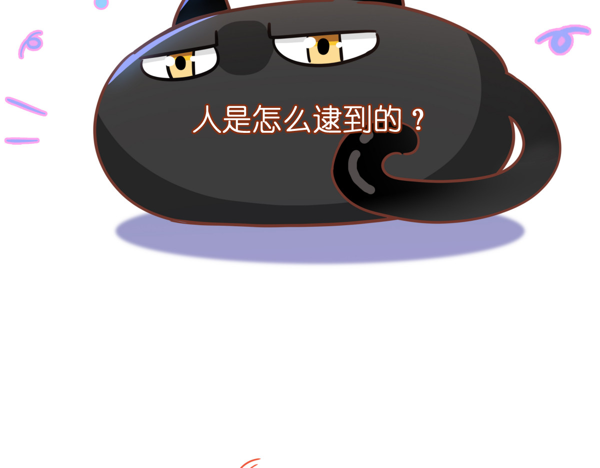 真相 第 56 页