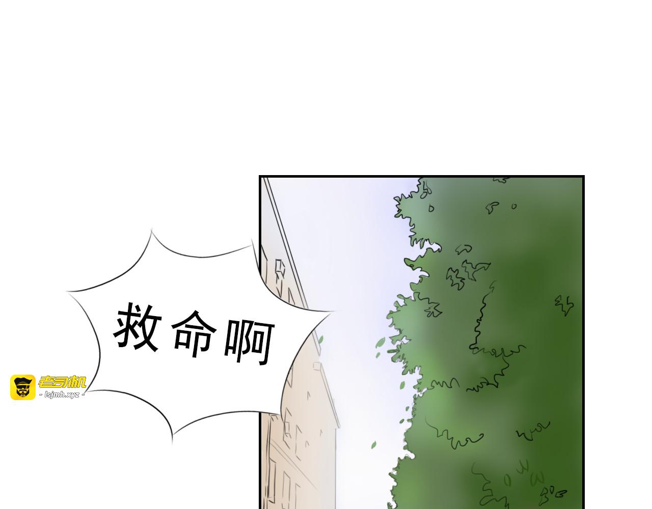 随机背包有点坑 第 7 页
