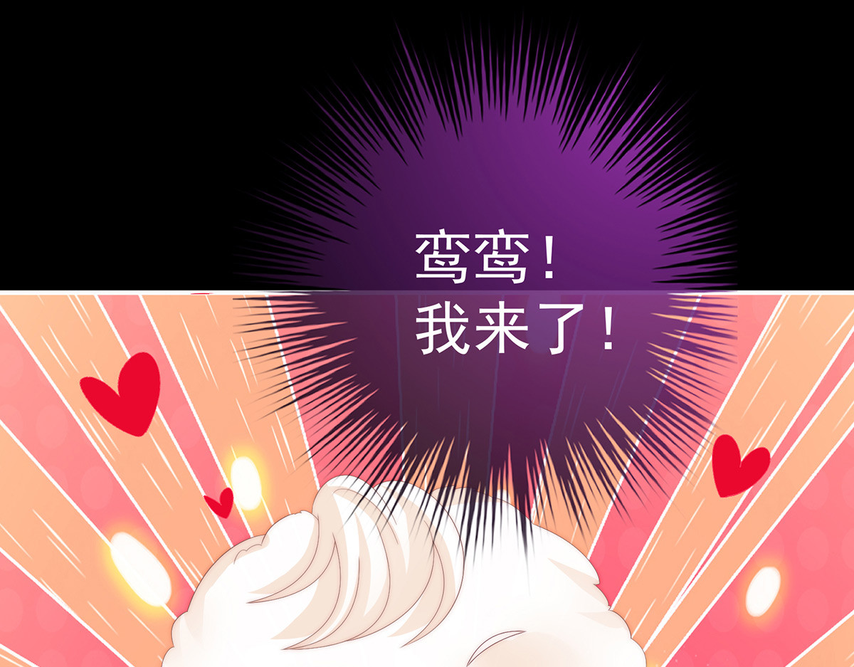 39 你有别的狗了 第 46 页