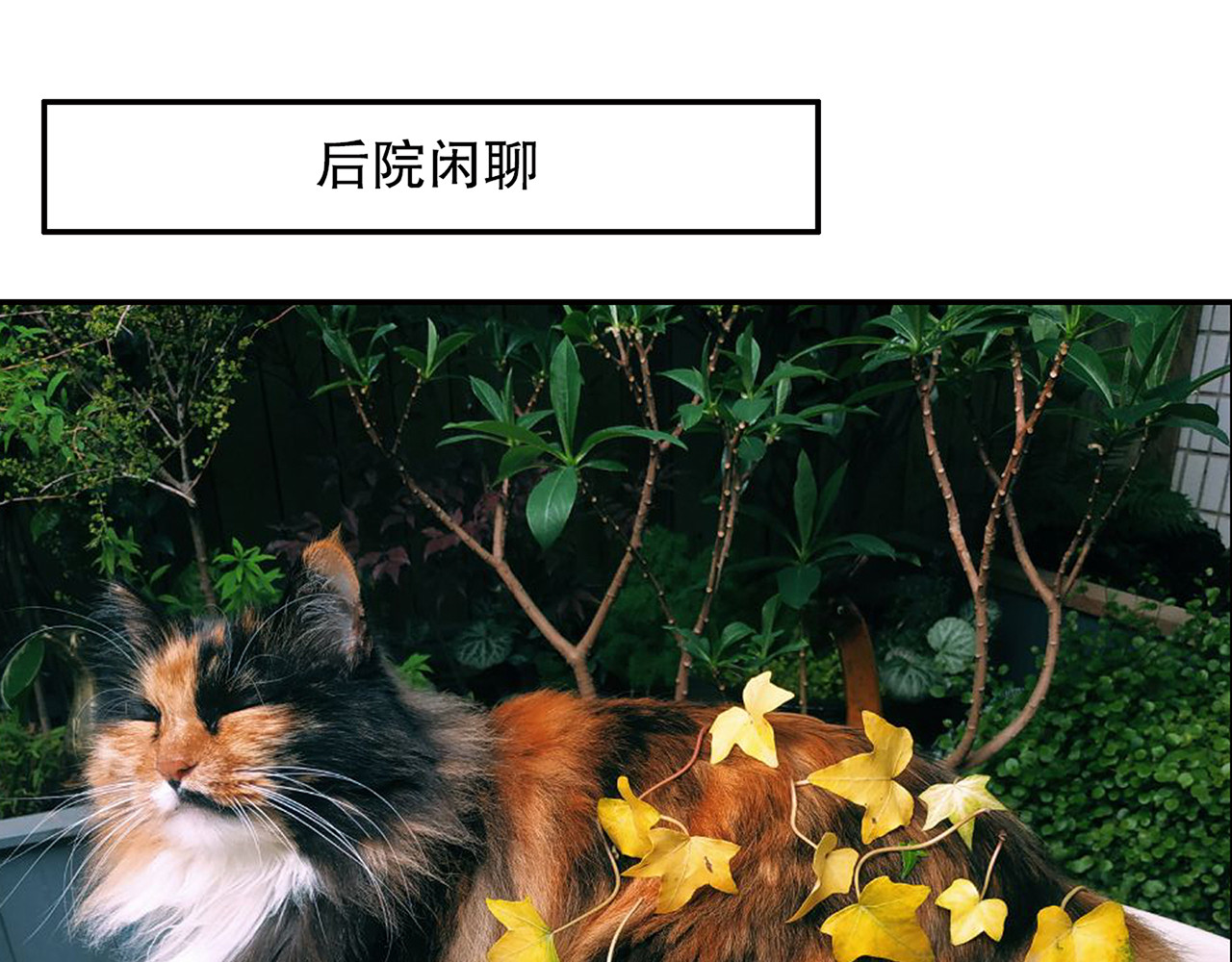 第86回  抑郁的福娃 第 90 页