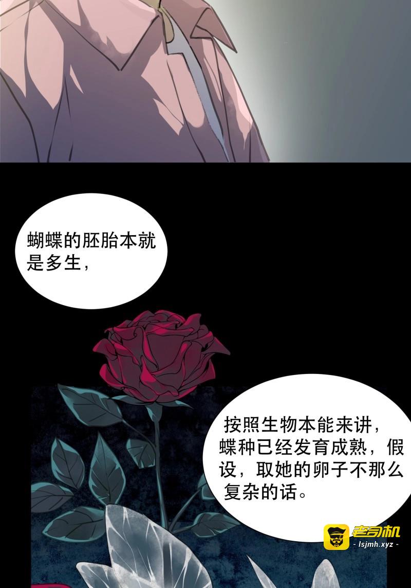 第97话 盗取恶魔果实的人 第 13 页