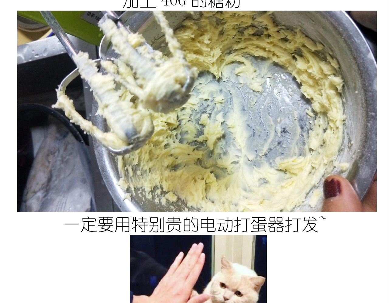 仙女的罗马盾饼干 第 8 页