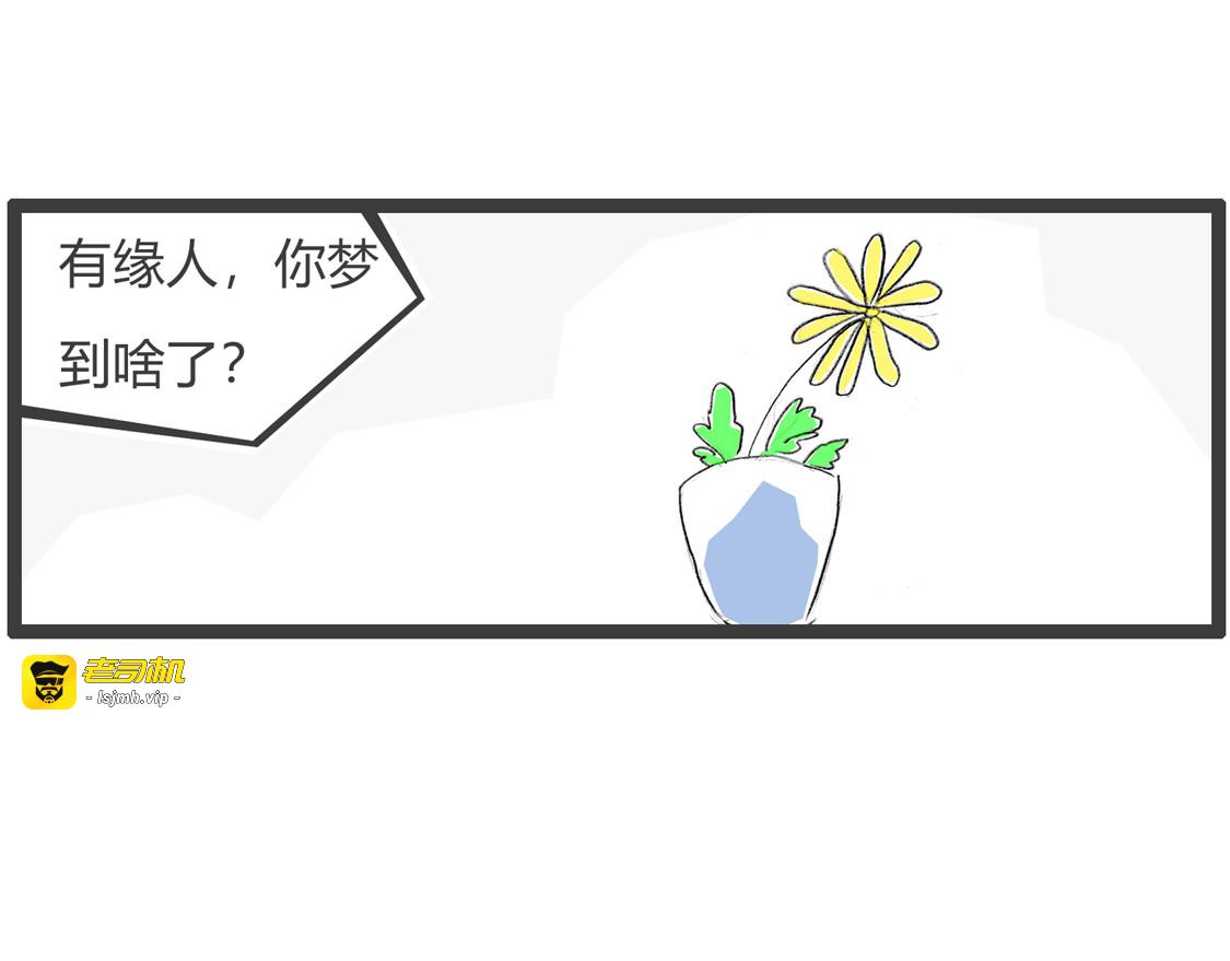梦到喜鹊 第 5 页