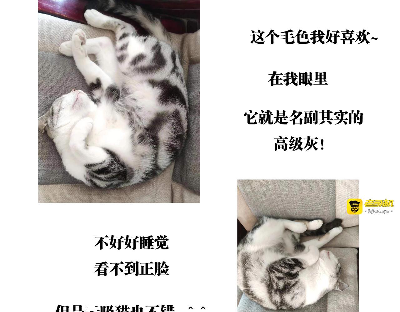 第一章：愿美意延年 第 27 页