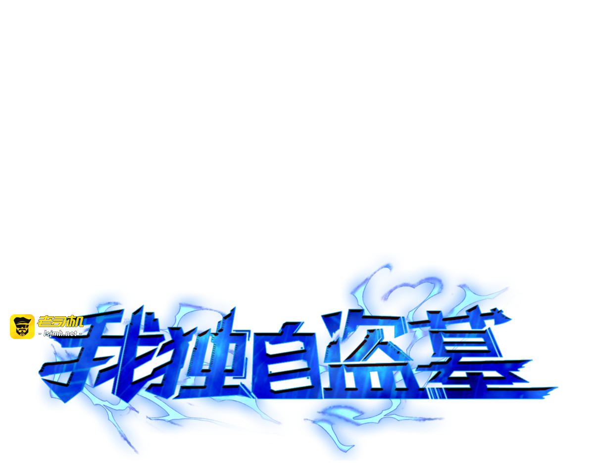 安全回归 第 17 页