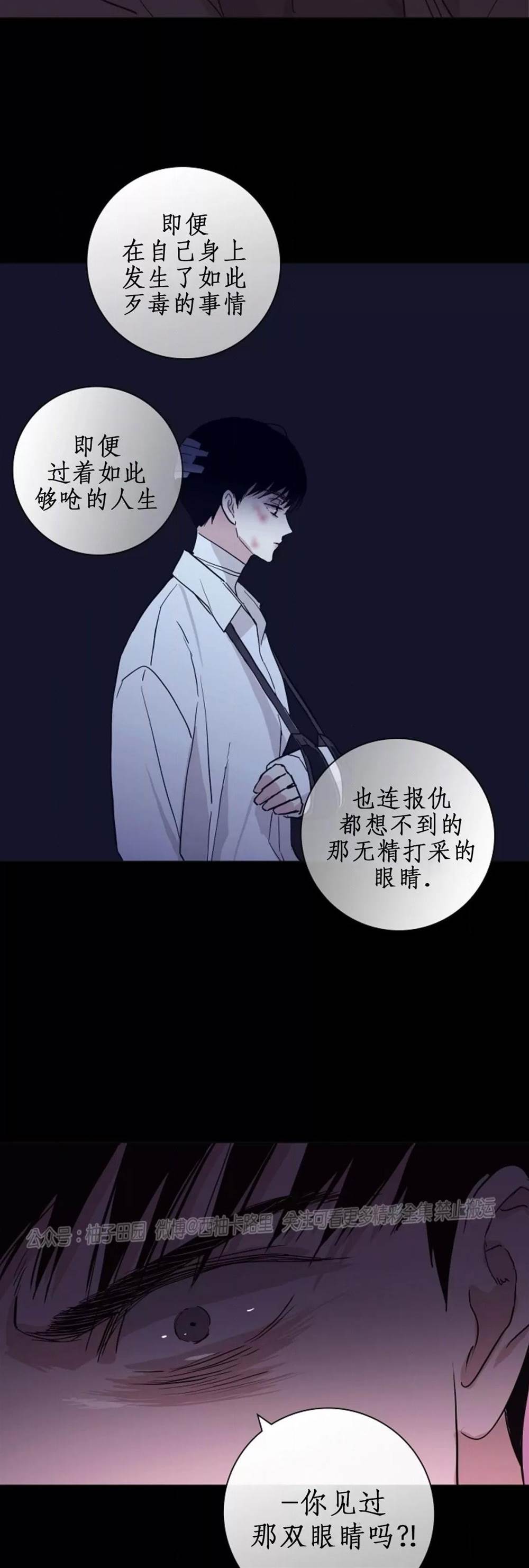 第74话 第 26 页