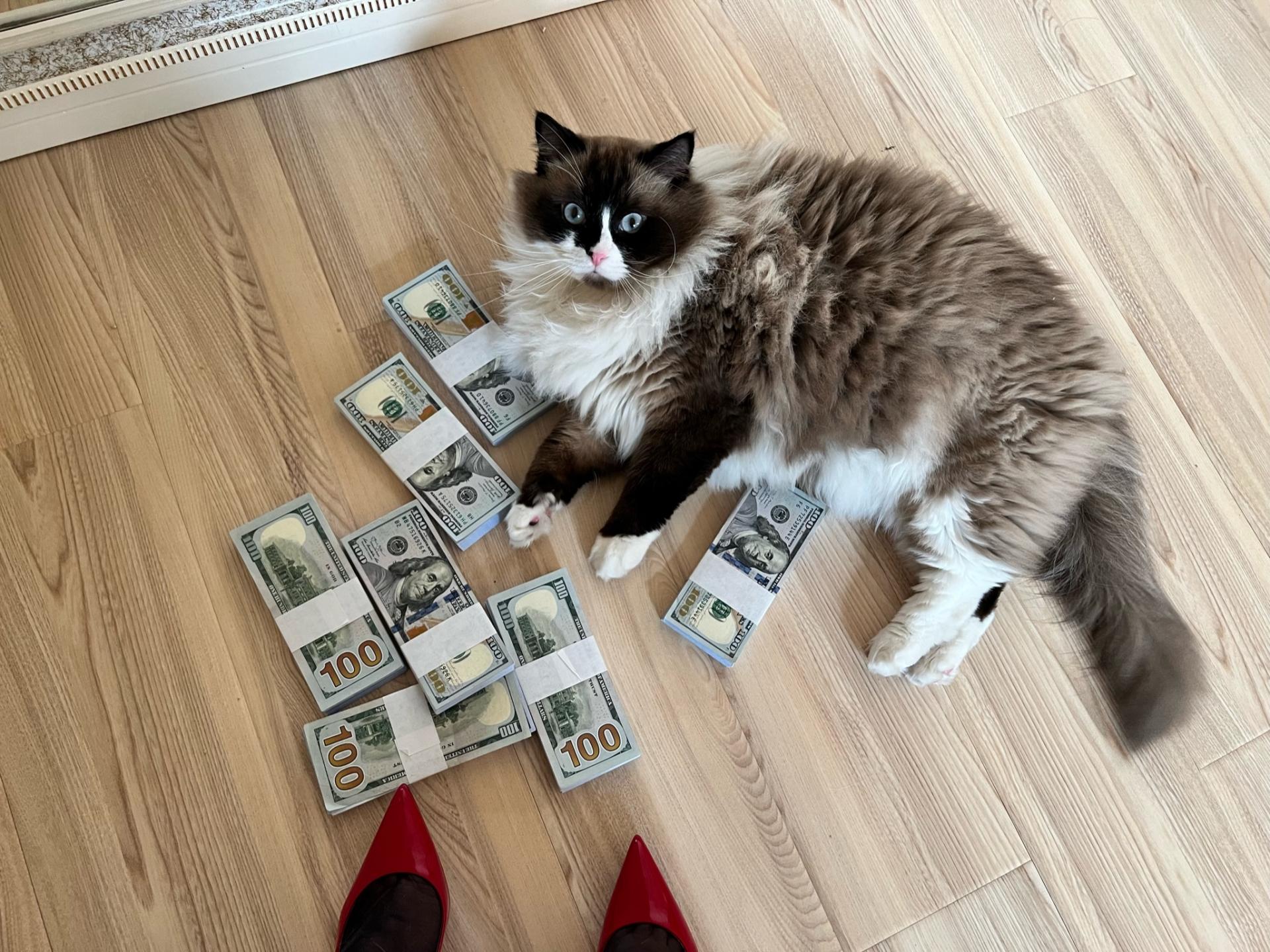 第一章 第 136 页