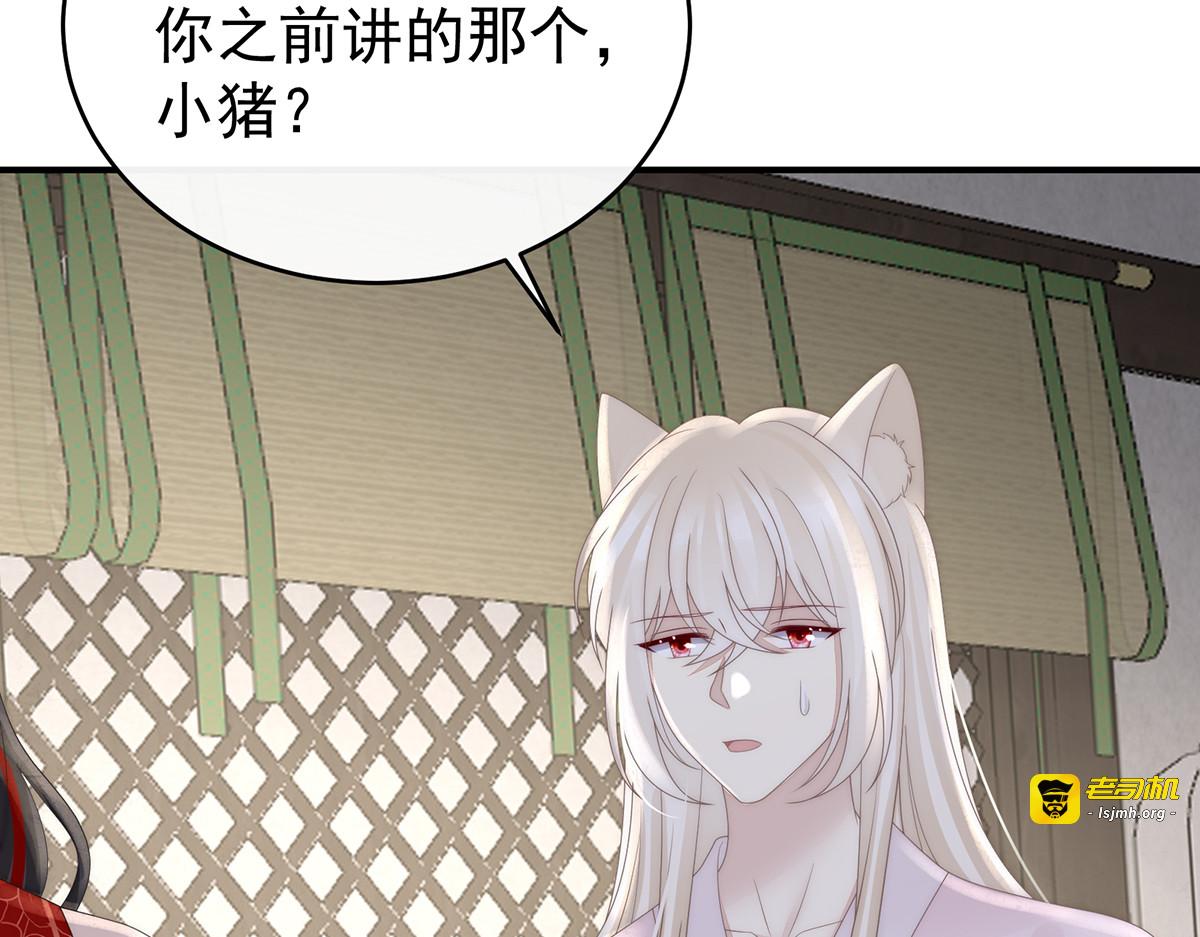 132 你究竟有几只猪？ 第 91 页