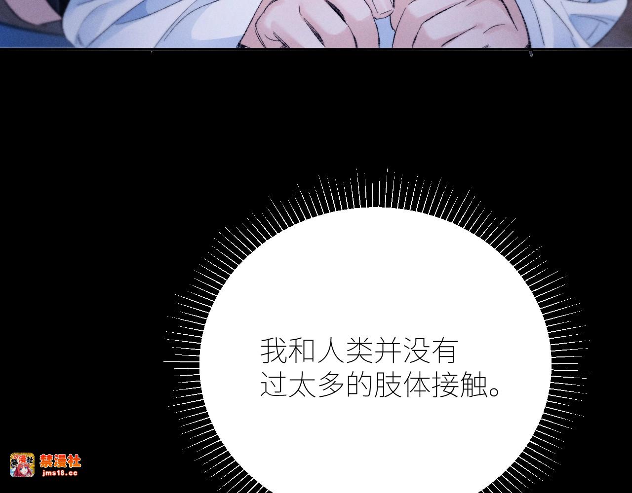 第49话 像极光 第 49 页