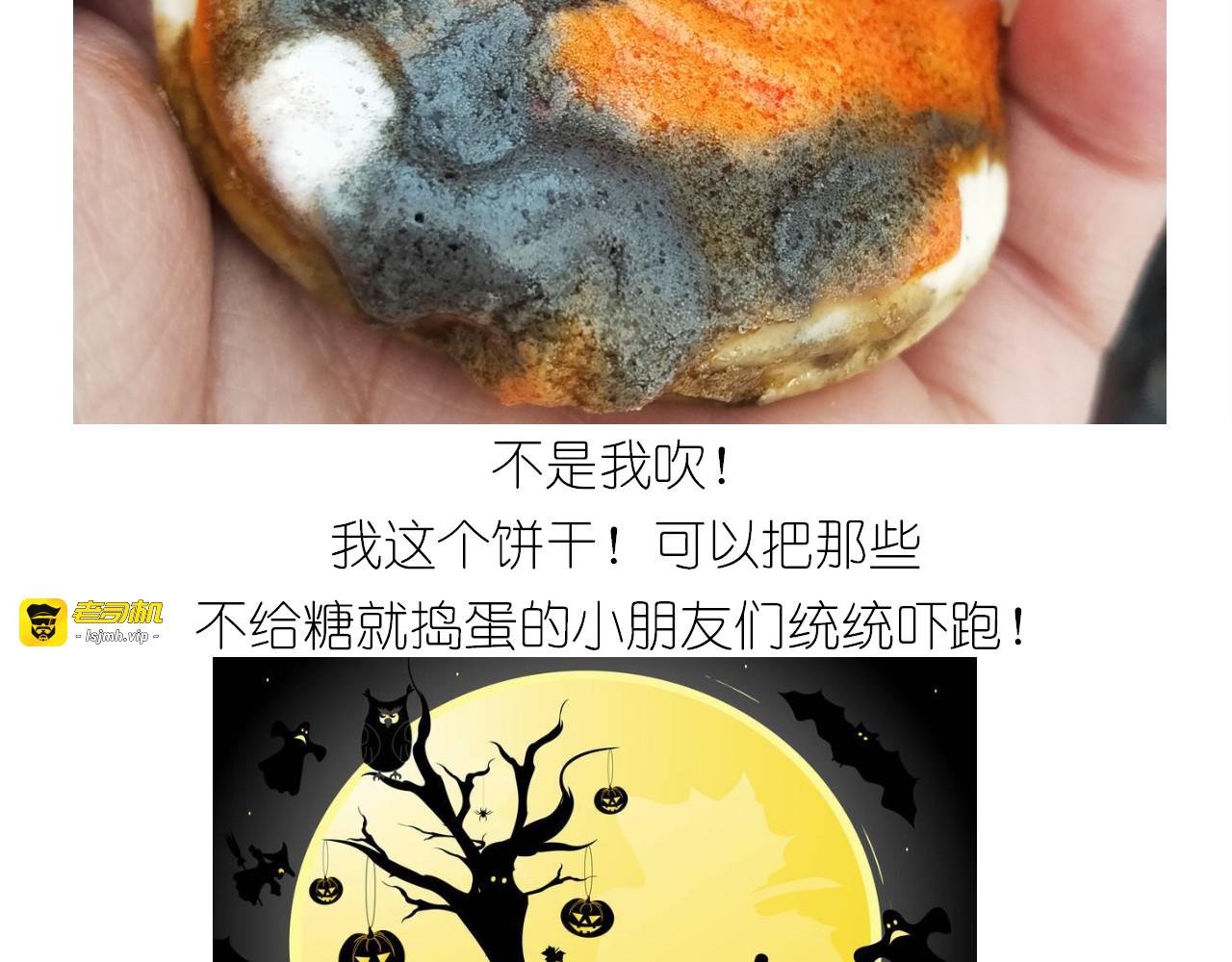 仙女万圣节饼干 第 35 页