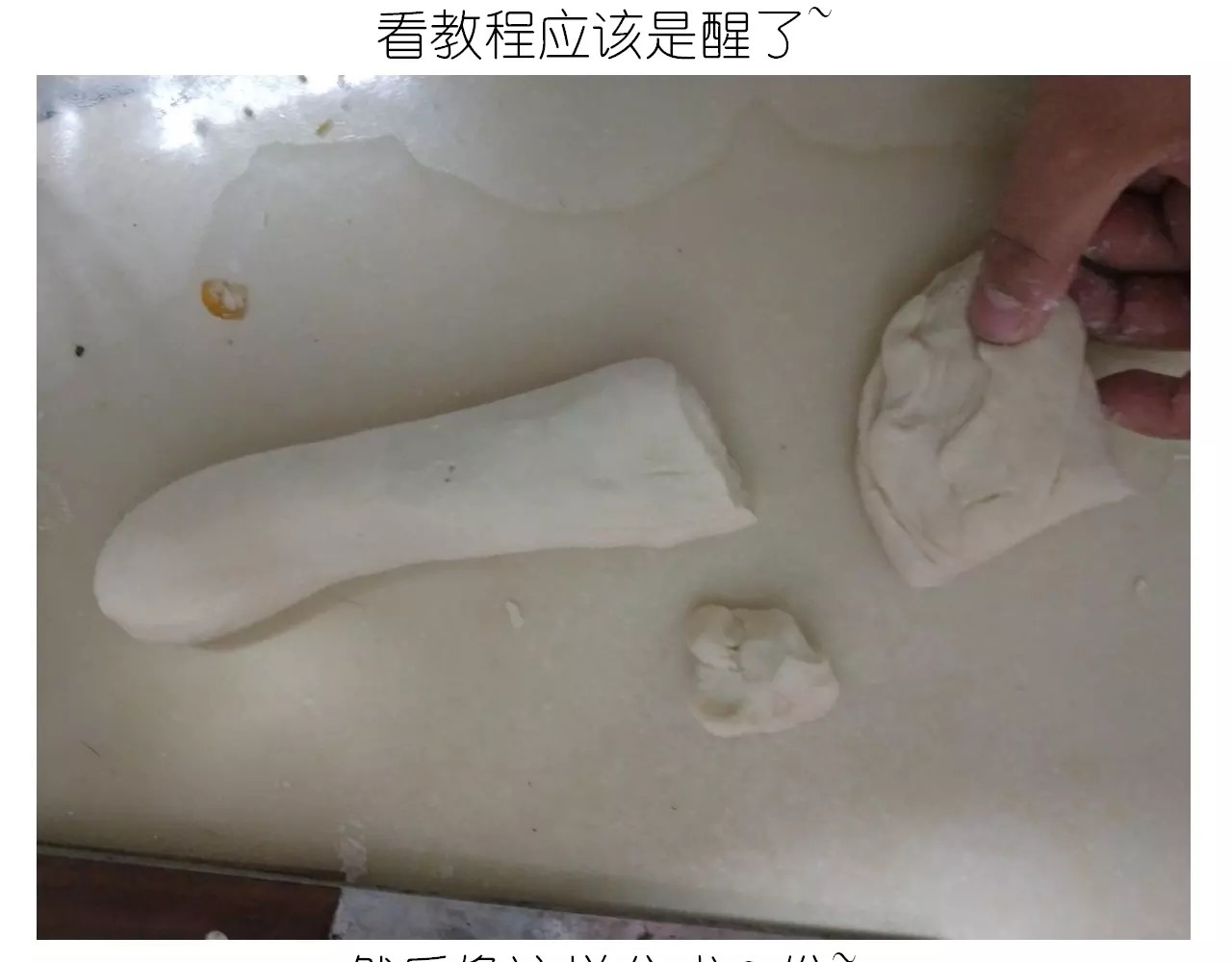 小绵羊面包 第 8 页