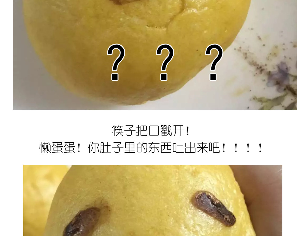懒蛋蛋流沙包 第 12 页