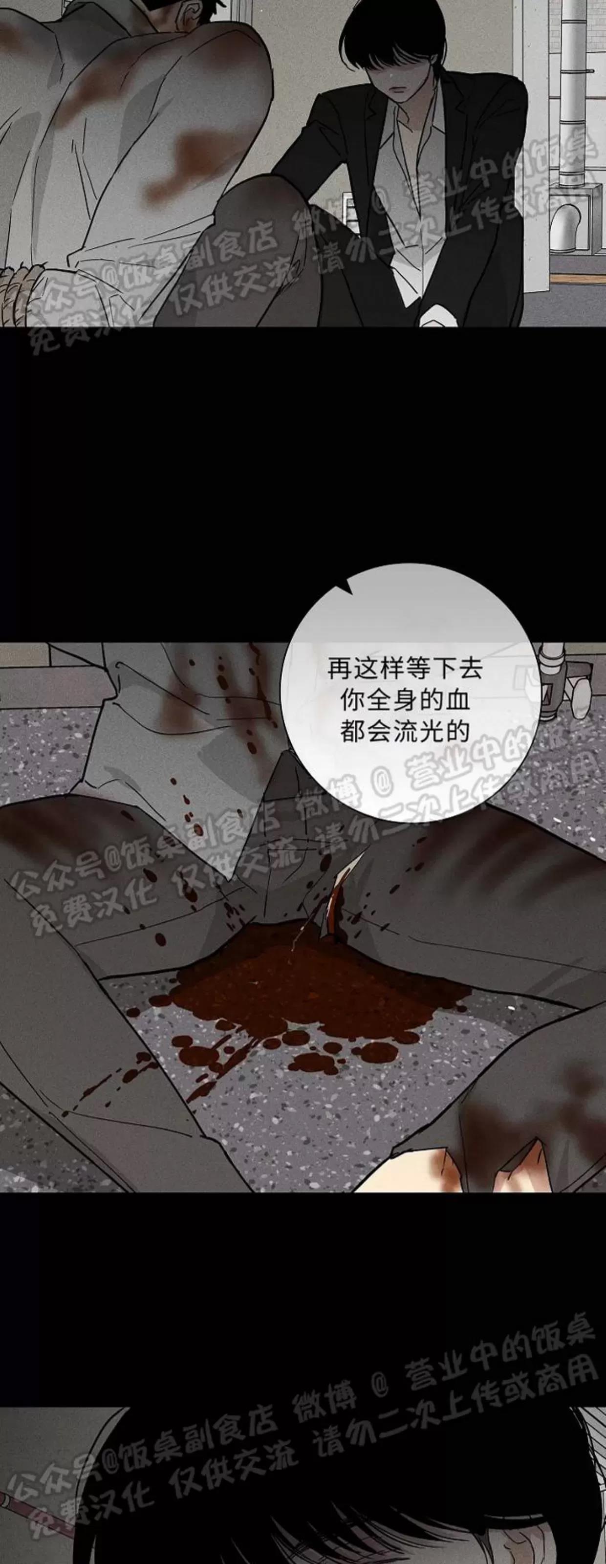 第41话 第 20 页