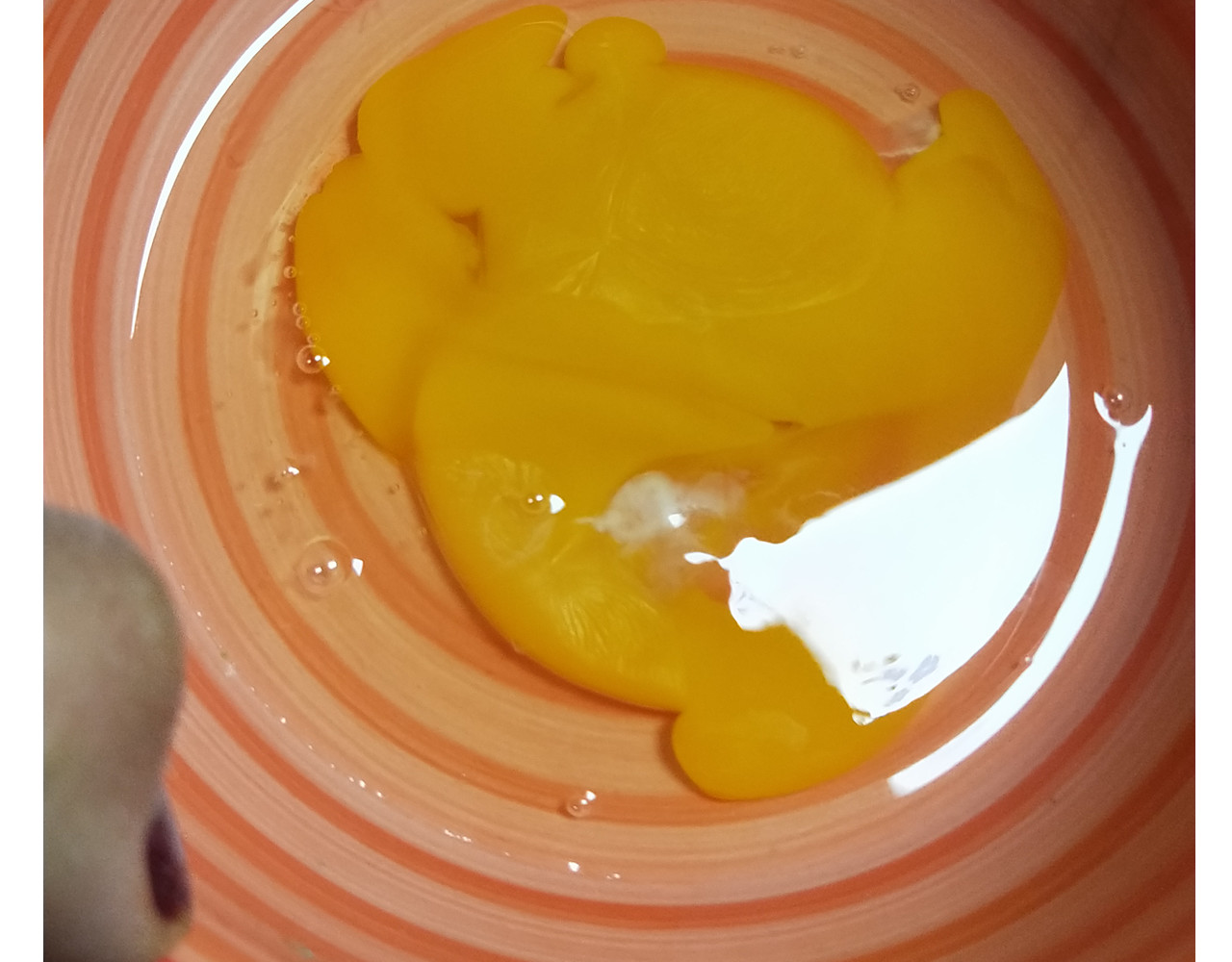 仙女的罗马盾饼干 第 10 页