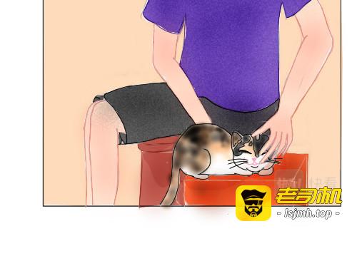 第二话  猫设崩塌 第 41 页