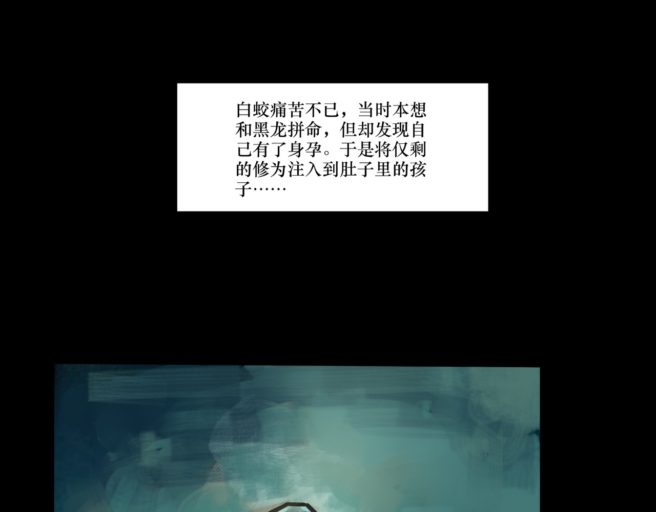 白龙江 第 70 页