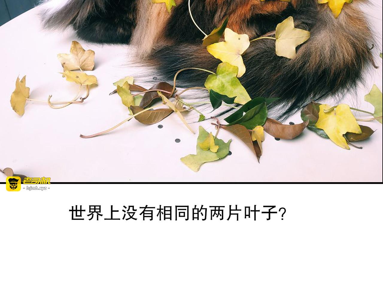 第86回  抑郁的福娃 第 91 页