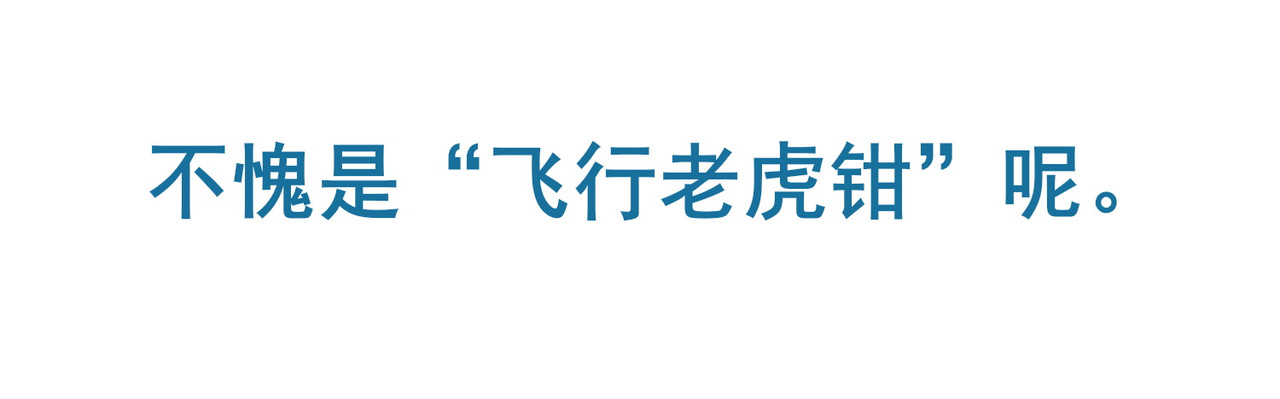 漫画家，鹦鹉，日常纪录。 第 48 页