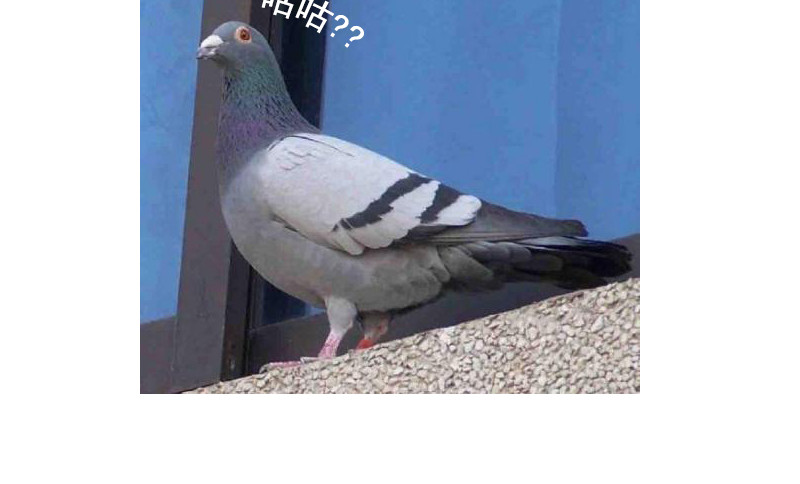教师节特辑 第 24 页