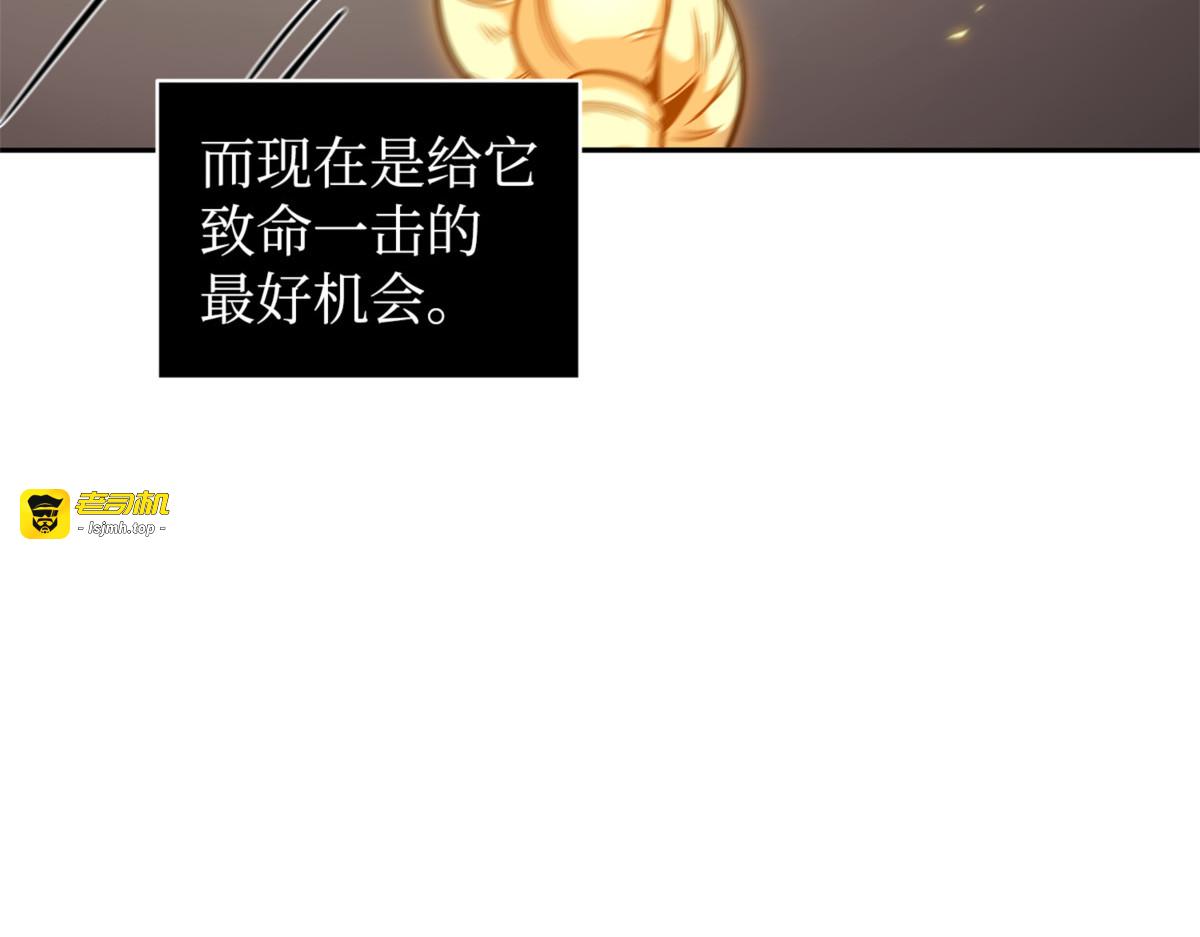 服从训练 第 155 页