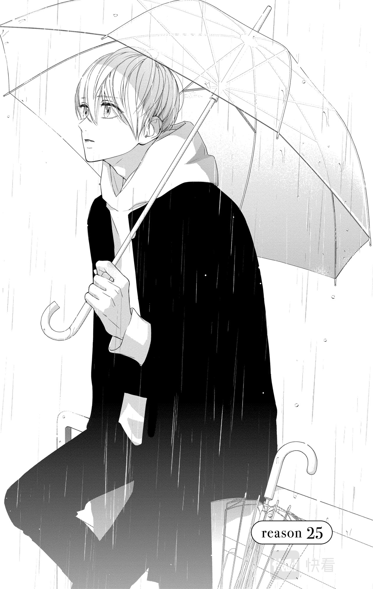 Reason 25 第 4 页