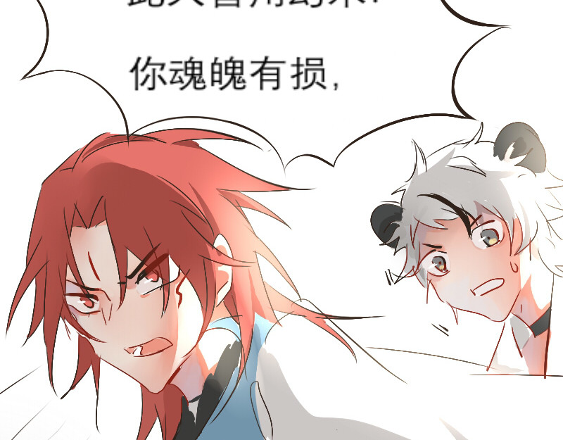 2.葬组织 第 28 页