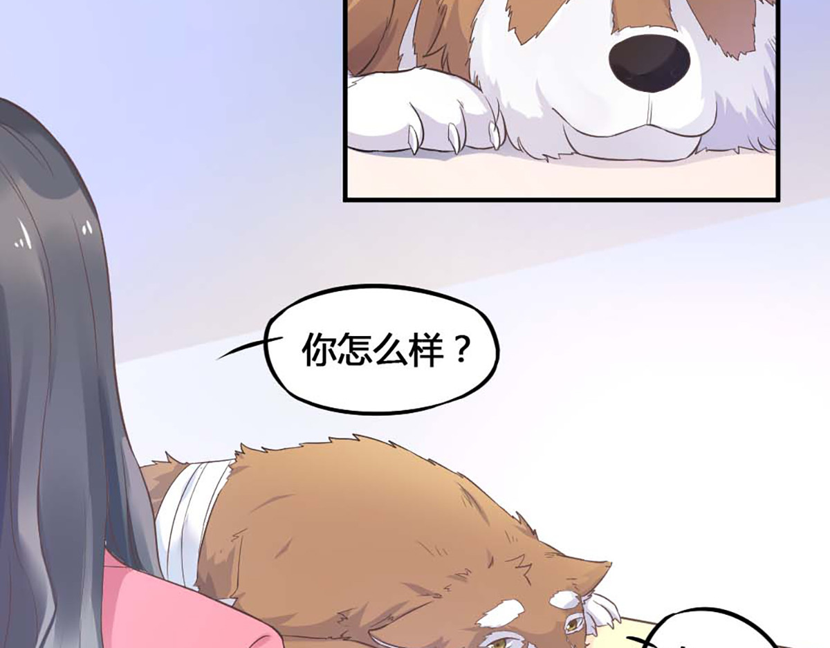 第6话 第 20 页